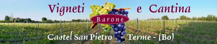 Produzione vini DOC e DOCG a Castel San Pietro Terme